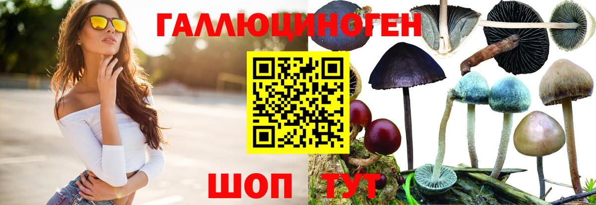 Кстово  Галлюциногенные грибы мицелий  Вход с VPN 